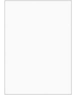 ELVE B105 : Lot de 100 fiches bristol A6 - 105 x 148 mm - Blanc uni