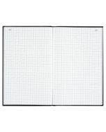 LE DAUPHIN : Registre VS 400 pages quadrillées avec foliotage - 340 x 225 mm