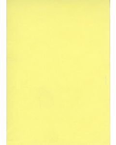 ELVE B105J : Lot de 100 fiches bristol A6 - 105 x 148 mm - Jaune uni