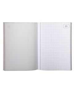 LE DAUPHIN : Manifold autocopiant Dupli - Quadrillé - 148 x 105 mm Modèle