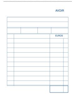 AVOIRS : Carnets autocopiants dupli 2154 - 100 x 155 mm