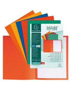 EXACOMPTA : Chemises  A4  Lustro carte - Assortiment de couleurs  220000E