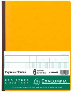 Registre 6 colonnes - 320 x 250 mm - Jaune EXACOMPTA Image