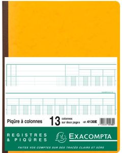 Registre 13 colonnes 320 x 250 mm EXACOMPTA 4130E Modèle