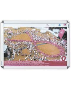 Cadre Porte affiche - Format A2 : FRANKEN Image