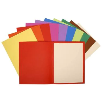 Lot de 100 Chemises pour dossiers A4 FLASH 220 - Assortiment EXACOMPTA Modèle