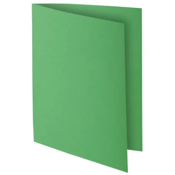 Lot de 10 Chemises pour dossiers A4 ROCK'S 210 - Vert Sapin : EXACOMPTA 