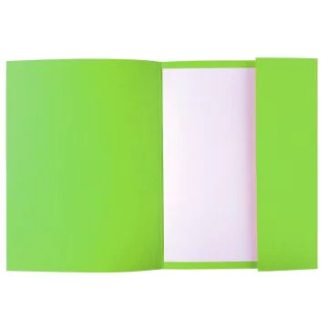 Chemise ROCK'S à 1 rabat - Vert  EXACOMPTA 218013E