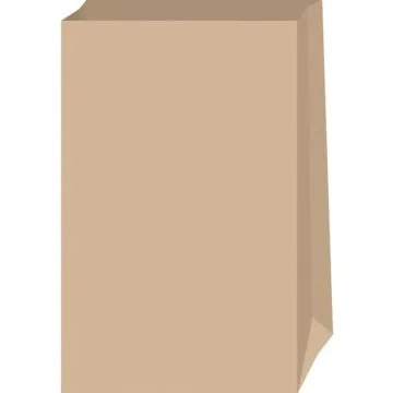 Pochette d'emballage en papier - 120 x 210 mm - Nature : FOLIA Lot de 15 Modèle