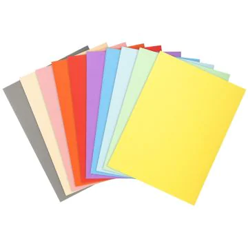 Lot de 50 Chemises pour dossiers - Assortiment EXACOMPTA Forever 170 Modèle