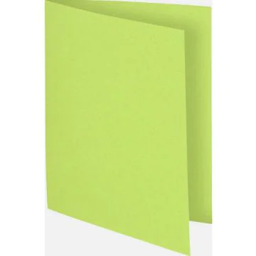 Lot de 100 Chemises pour dossiers A4 FLASH 220 - Tilleul : EXACOMPTA Visuel