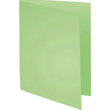 Lot de 100 Chemises pour dossiers - Vert Vif : EXACOMPTA Forever 170 Visuel