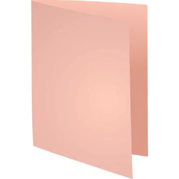Lot de 100 Chemises pour dossiers - Rose : EXACOMPTA Forever 220 Visuel