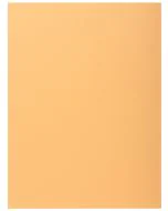 Lot de 100 Chemises à 1 rabat - Bulle EXACOMPTA Visuel